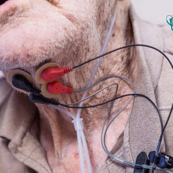 disfagia, tratamiento de la disfagia en el salvador, tratamiento de la disfagia en san salvador, cuido de ancianos